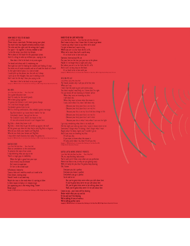 Hall & Oates - Voices - RSD 2021 (Vinyle)