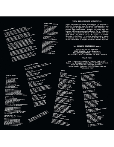 The Rolling Bidochons - Sales Gueules - RSD 2019 (Vinyle)