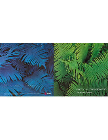 Edgar Froese - Epsilon In Malaysian Pale - RSD 2022 (Vinyle)