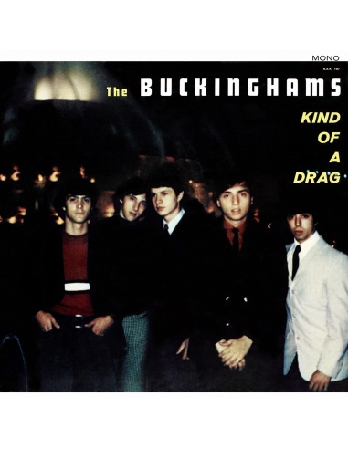 The Buckinghams - Kind of a Drag (Vinyle)