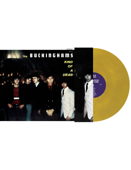 The Buckinghams - Kind of a Drag (Vinyle)