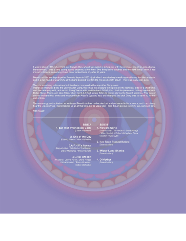 Gong - In The 70's - RSD 2022 (Vinyle)