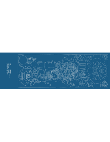 Gong - Live In Lyon '72 - RSD 2023 (Vinyle)