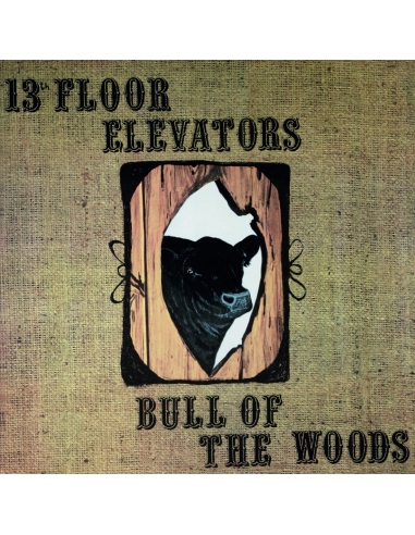 13th Floor Elevators - Bull of the Woods - RSD BF 2023 (Vinyle)