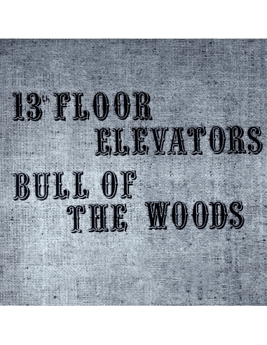 13th Floor Elevators - Bull of the Woods - RSD BF 2023 (Vinyle)