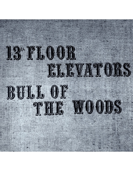 13th Floor Elevators - Bull of the Woods - RSD BF 2023 (Vinyle)