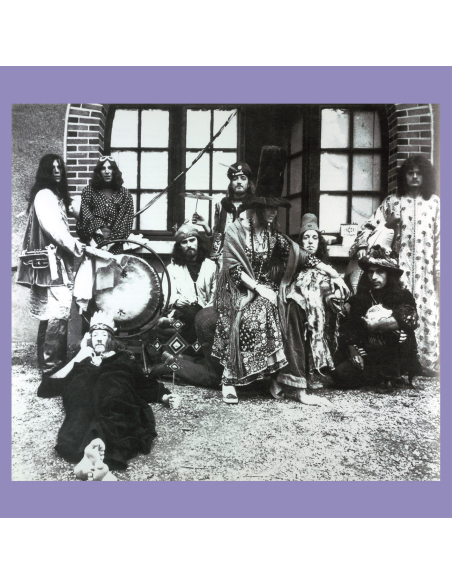 Gong - In The 70's (CD)