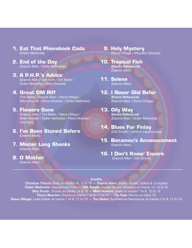 Gong - In The 70's (CD)