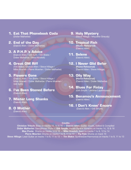 Gong - In The 70's (CD)