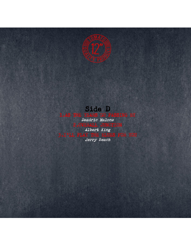 Albert King - Albert Live (Vinyle)