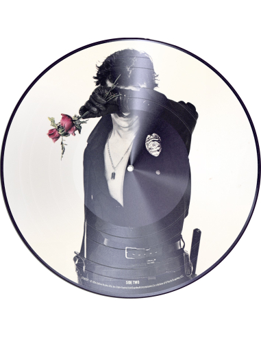 Ringo Starr - Stop & Smell the Roses - Picture-Disc (Vinyle)