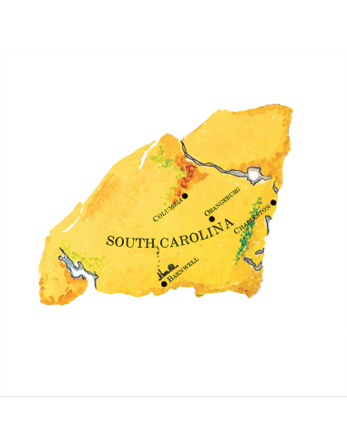 Gil Scott-Heron & Brian Jackson - From South Africa to South Carolina - RSD BF 2024 (Vinyle)