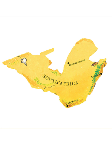 Gil Scott-Heron & Brian Jackson - From South Africa to South Carolina - RSD BF 2024 (Vinyle)