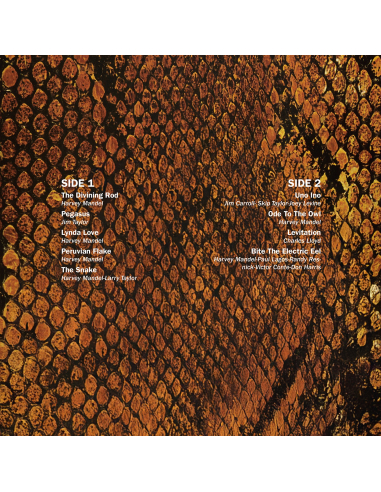 Harvey Mandel - The Snake - RSD 2025 (Vinyle)