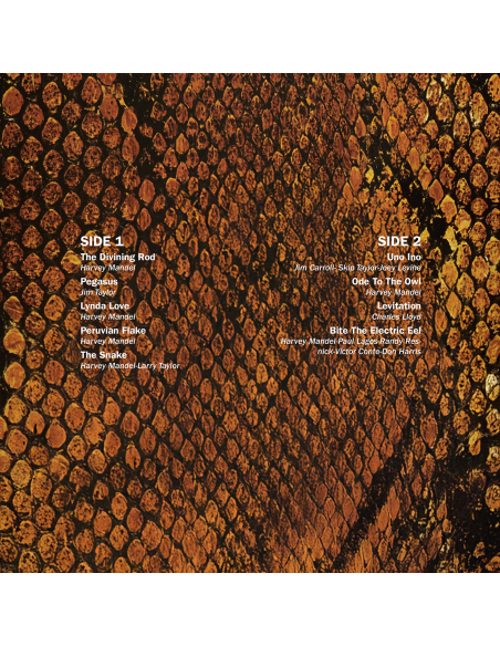 Harvey Mandel - The Snake - RSD 2025 (Vinyle)