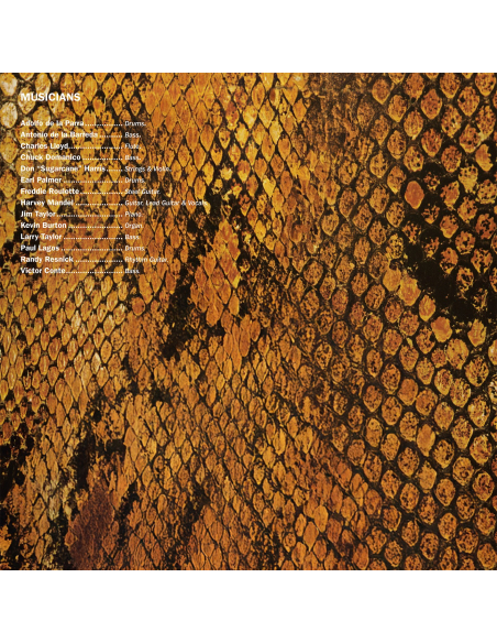 Harvey Mandel - The Snake - RSD 2025 (Vinyle)