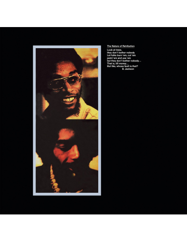 Gil Scott-Heron - Winter in America (Vinyle)