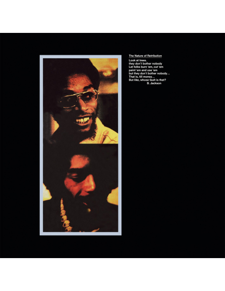 Gil Scott-Heron - Winter in America (Vinyle)