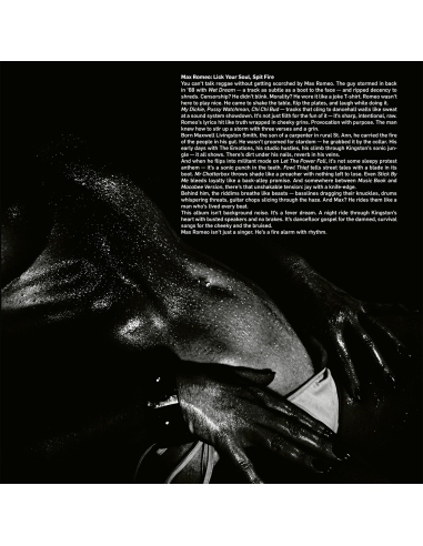 Max Romeo - Wet Dream (Vinyle)