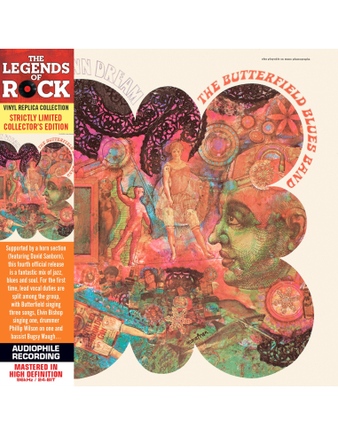 The Butterfield Blues Band - In My Own Dream   