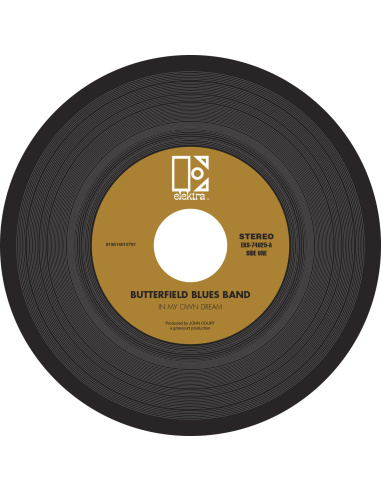 The Butterfield Blues Band - In My Own Dream   
