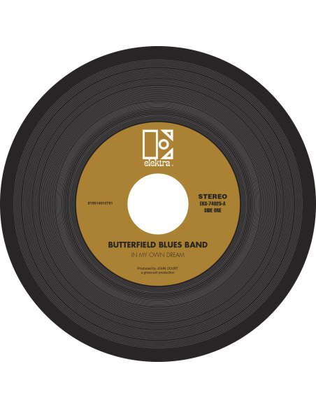 The Butterfield Blues Band - In My Own Dream   