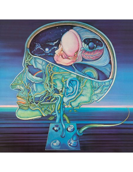 TEST PRESSING Clearlight Symphony - Clear Light Symphony - RSD 2020 (Vinyle)