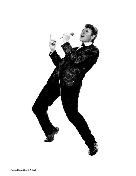 Johnny Hallyday - Coffret Souvenir - RSD 2026 (Vinyle)