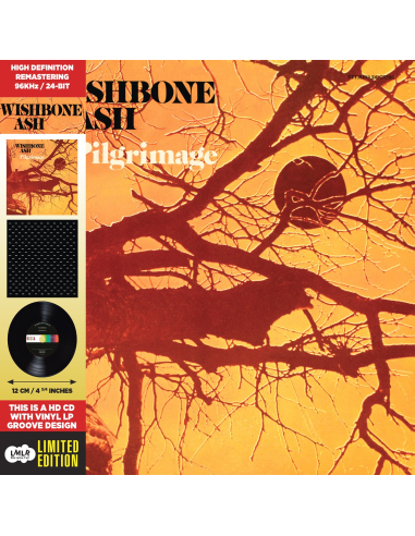 Wishbone Ash - Pilgrimage