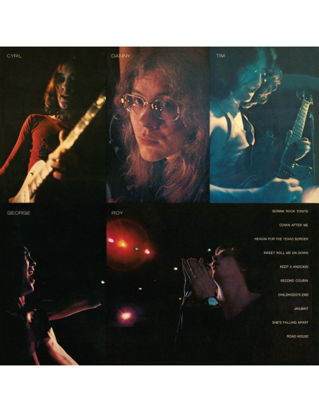 Flamin' Groovies - Flamingo