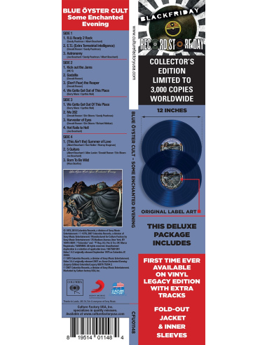 Blue Oyster Cult - Some Enchanted Evening