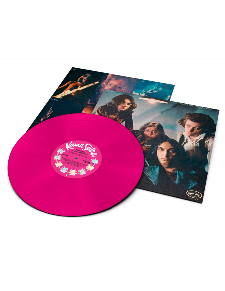 Flamin' Groovies - Flamingo