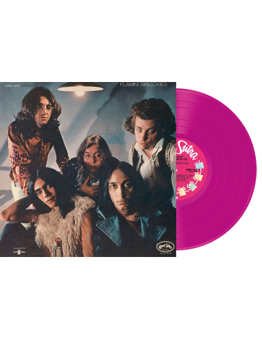 Flamin' Groovies - Flamingo