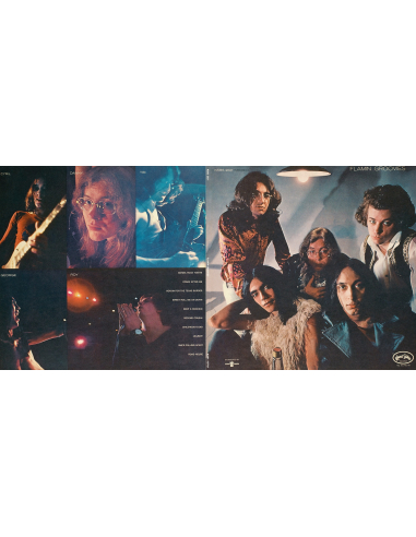 Flamin' Groovies - Flamingo