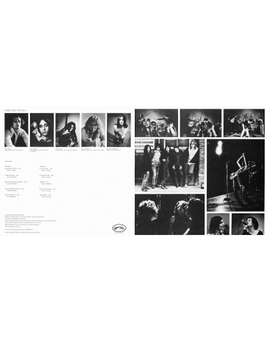 Flamin' Groovies - Flamingo