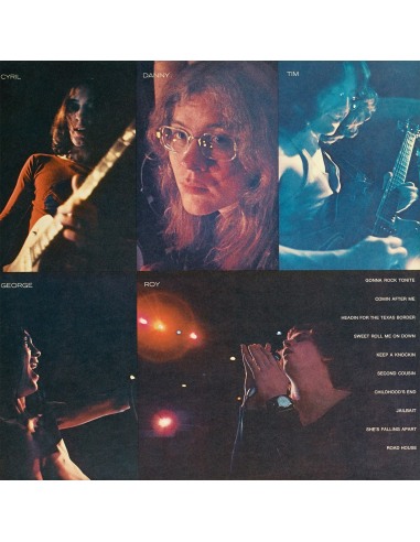 Flamin' Groovies - Flamingo