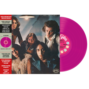 Flamin' Groovies - Flamingo