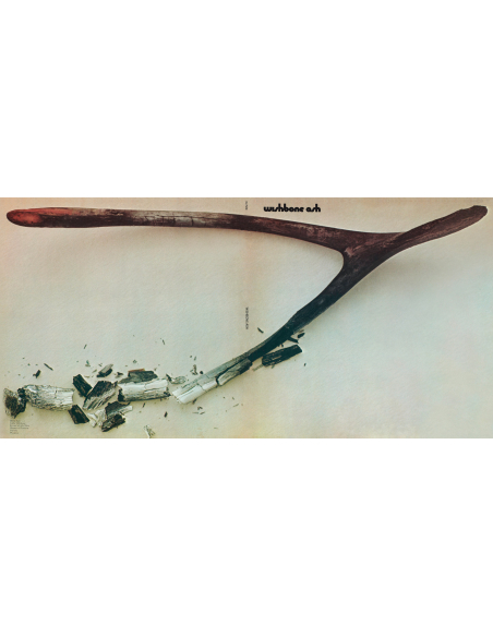 Wishbone Ash - Wishbone Ash (Vinyle)