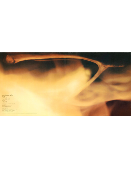 Wishbone Ash - Wishbone Ash (Vinyle)