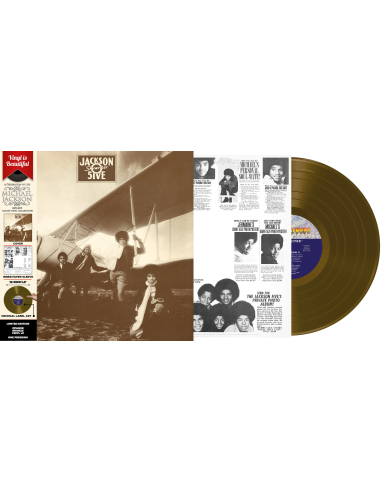 The Jackson 5 - Skywriter (Vinyle)