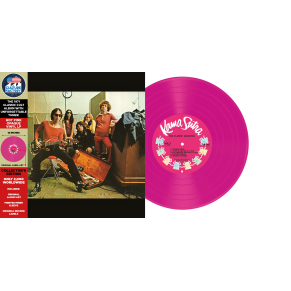 Flamin' Groovies - Teenage Head (Vinyle)