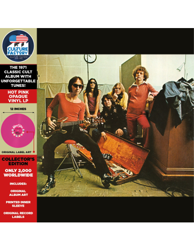 Flamin' Groovies - Teenage Head (Vinyle)