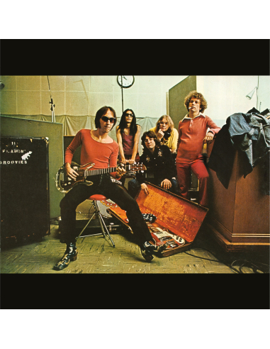 Flamin' Groovies - Teenage Head (Vinyle)