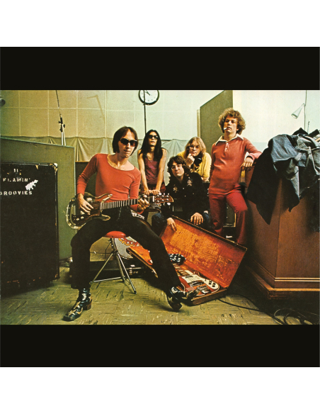 Flamin' Groovies - Teenage Head (Vinyle)