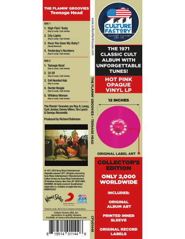 Flamin' Groovies - Teenage Head (Vinyle)