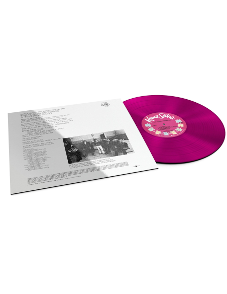 Flamin' Groovies - Teenage Head (Vinyle)