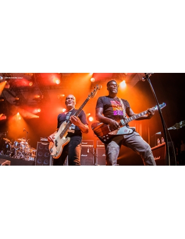 Trust - Au Nom De La Rage Tour (Livre + 2 DVD)