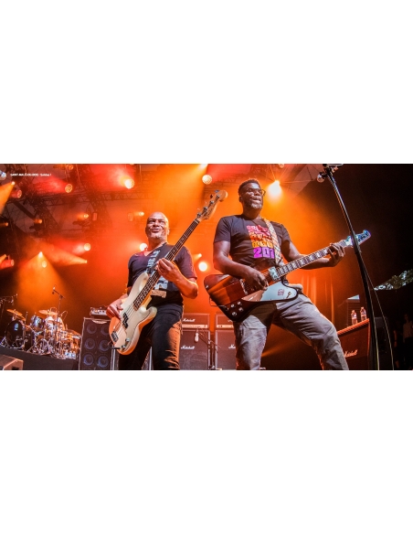 Trust - Au Nom De La Rage Tour (Livre + 2 DVD)