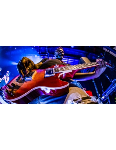 Trust - Au Nom De La Rage Tour (Livre + 2 DVD)