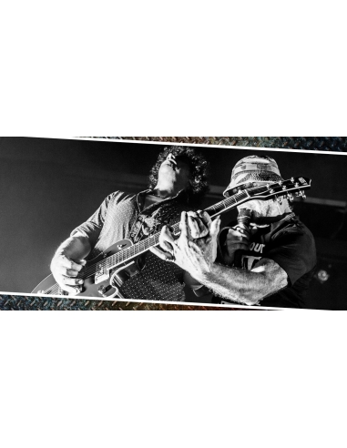 Trust - Au Nom De La Rage Tour (Livre + 2 DVD)